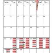 ヒメ日記 2025/12/21 21:29 投稿 芽乃 夕月