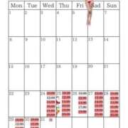 ヒメ日記 2025/12/23 22:09 投稿 芽乃 夕月