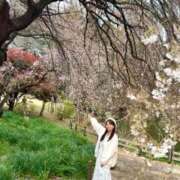 ヒメ日記 2026/03/28 08:20 投稿 芽乃 夕月