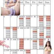 ヒメ日記 2026/04/07 20:09 投稿 芽乃 夕月