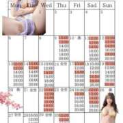 ヒメ日記 2026/04/08 22:09 投稿 芽乃 夕月