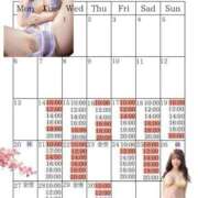 ヒメ日記 2026/04/13 18:09 投稿 芽乃 夕月