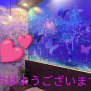 ヒメ日記 2025/10/09 08:50 投稿 あいみ 熟女の風俗最終章 蒲田店