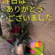 ヒメ日記 2025/11/07 07:00 投稿 あいみ 熟女の風俗最終章 蒲田店