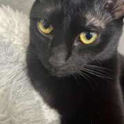 加瀬あいな また会いましょ〜 五反田 必要以上のエステ（シンデレラグループ）