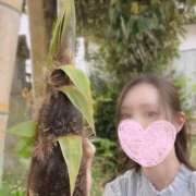 ヒメ日記 2025/05/20 18:19 投稿 紗耶-Saya- マニア東京　Mフェチ・アブノーマル専門店