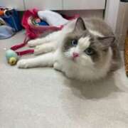 ヒメ日記 2026/03/02 12:18 投稿 かんな 名古屋Ｍ性感 ルーフ倶楽部