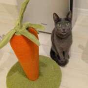 ヒメ日記 2026/03/12 12:44 投稿 かんな 名古屋Ｍ性感 ルーフ倶楽部