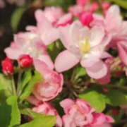 ヒメ日記 2026/03/21 08:02 投稿 ようこ 池袋で熟女の風俗 マダムいやーん