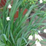 ようこ 優しさに包まれた昨日❤️❤️❤️ 池袋で熟女の風俗 マダムいやーん