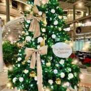 ヒメ日記 2025/12/04 19:32 投稿 小早川 悠乃 大阪貴楼館