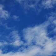 ヒメ日記 2025/01/20 11:24 投稿 ゆきの 池袋おかあさん