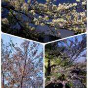 ヒメ日記 2025/04/08 23:24 投稿 ゆきの 池袋おかあさん