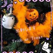 ヒメ日記 2025/10/31 11:54 投稿 ゆきの 池袋おかあさん