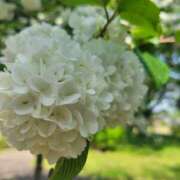 ヒメ日記 2025/05/05 14:04 投稿 前田　千穂 回春マッサージメンズエステ宇都宮