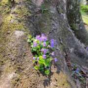 ヒメ日記 2025/05/12 12:38 投稿 前田　千穂 回春マッサージメンズエステ宇都宮