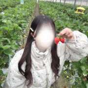 ヒメ日記 2025/03/10 18:02 投稿 minano RAO-ラオウ-