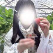 ヒメ日記 2025/03/19 17:51 投稿 minano RAO-ラオウ-