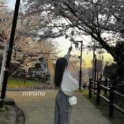 ヒメ日記 2025/04/04 16:55 投稿 minano RAO-ラオウ-