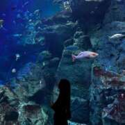 ヒメ日記 2025/05/02 09:02 投稿 minano RAO-ラオウ-