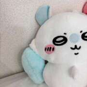 ヒメ日記 2025/08/19 20:02 投稿 minano RAO-ラオウ-