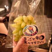 ヒメ日記 2025/08/24 00:11 投稿 minano RAO-ラオウ-