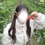 ヒメ日記 2025/11/21 12:21 投稿 minano RAO-ラオウ-