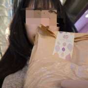 ヒメ日記 2025/04/10 02:29 投稿 ゆず CECIL