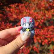 ヒメ日記 2025/10/31 18:41 投稿 ゆず CECIL