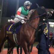 ヒメ日記 2024/12/12 01:43 投稿 あさひ SOAPLAND LOVE FACTORY