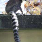 ヒメ日記 2024/12/13 04:45 投稿 あさひ SOAPLAND LOVE FACTORY