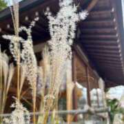 ヒメ日記 2024/12/21 00:19 投稿 あさひ SOAPLAND LOVE FACTORY