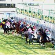 ヒメ日記 2024/12/26 00:22 投稿 あさひ SOAPLAND LOVE FACTORY