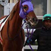 ヒメ日記 2024/12/29 09:03 投稿 あさひ SOAPLAND LOVE FACTORY