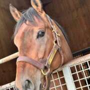 ヒメ日記 2024/12/31 09:48 投稿 あさひ SOAPLAND LOVE FACTORY