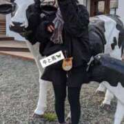 ヒメ日記 2025/01/02 06:20 投稿 あさひ SOAPLAND LOVE FACTORY