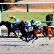 ヒメ日記 2025/01/04 02:52 投稿 あさひ SOAPLAND LOVE FACTORY