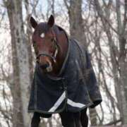 ヒメ日記 2025/01/04 09:03 投稿 あさひ SOAPLAND LOVE FACTORY