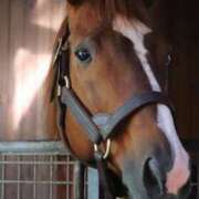 ヒメ日記 2025/01/13 10:12 投稿 あさひ SOAPLAND LOVE FACTORY