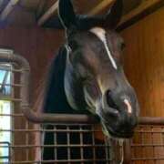 ヒメ日記 2025/01/13 13:52 投稿 あさひ SOAPLAND LOVE FACTORY