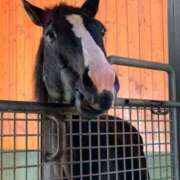 ヒメ日記 2025/01/13 20:02 投稿 あさひ SOAPLAND LOVE FACTORY