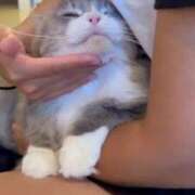 ヒメ日記 2025/01/18 08:50 投稿 あさひ SOAPLAND LOVE FACTORY