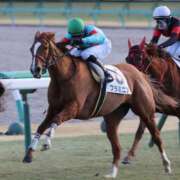 ヒメ日記 2025/01/28 10:16 投稿 あさひ SOAPLAND LOVE FACTORY