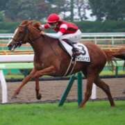 ヒメ日記 2025/02/01 00:42 投稿 あさひ SOAPLAND LOVE FACTORY