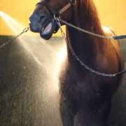 ヒメ日記 2025/02/01 17:59 投稿 あさひ SOAPLAND LOVE FACTORY