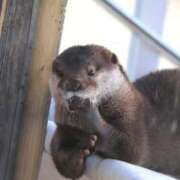 ヒメ日記 2025/02/06 13:42 投稿 あさひ SOAPLAND LOVE FACTORY