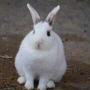 ヒメ日記 2025/02/06 14:02 投稿 あさひ SOAPLAND LOVE FACTORY