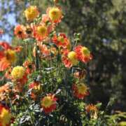 ヒメ日記 2025/02/09 04:32 投稿 あさひ SOAPLAND LOVE FACTORY