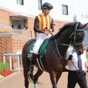 ヒメ日記 2025/02/09 04:52 投稿 あさひ SOAPLAND LOVE FACTORY