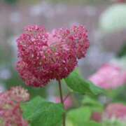 ヒメ日記 2025/02/11 23:42 投稿 あさひ SOAPLAND LOVE FACTORY